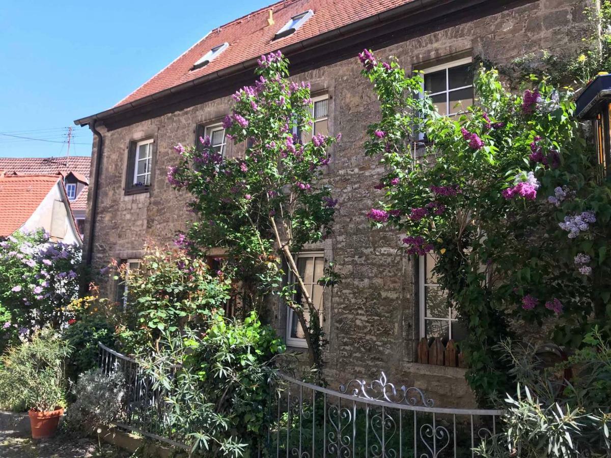 Ferienwohnung Am Weinberg 兰德尔萨克尔 外观 照片